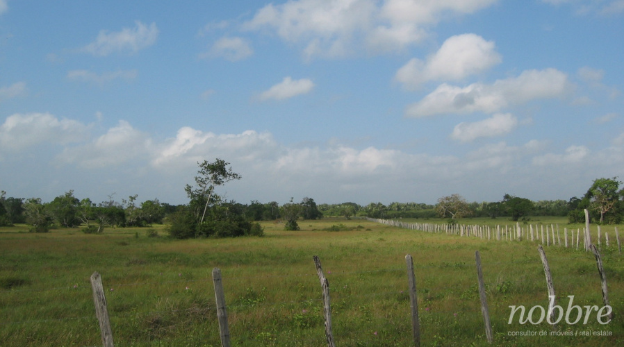 Fazenda para vender em Santa Helena - Maranhão